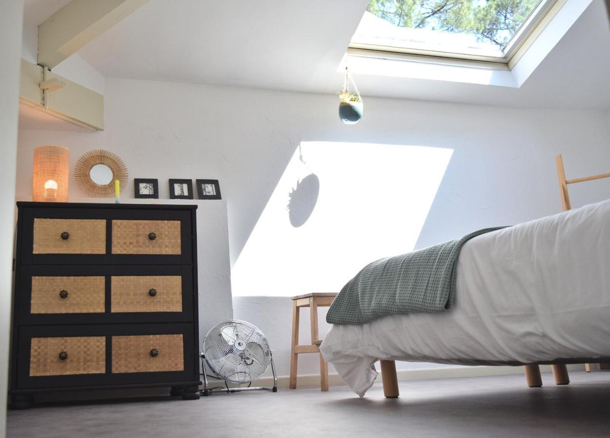 Julia Blue, Villa Hostal Naou Hossegor - Sauna - Salle De Sport - Wifi - Netflix Soorts-Hossegor Eksteriør bilde