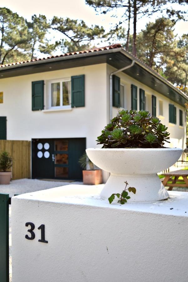 Julia Blue, Villa Hostal Naou Hossegor - Sauna - Salle De Sport - Wifi - Netflix Soorts-Hossegor Eksteriør bilde